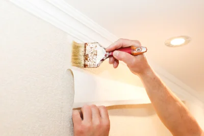 Pose de papier peint à Barberaz — revêtements muraux et toiles de verre
